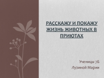 Презентация Расскажу и покажу жизнь животных в приютах