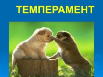 Презентация для учащихся Темперамент