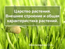 Презентация по биологии на тему Царство растения. Внешнее строение и общая характеристика растений.
