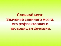Строение и функции головного мозга