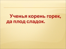 Презентация по русскому языку на тему Орфограммы в корне слова