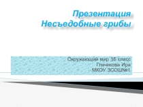Презентация Несъедобные грибы 3 класс