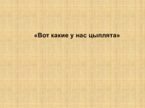 Презентация к ОД по выполнению аппликации из бумаги. Вот какие у нас цыплята