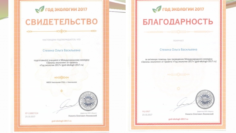 Самопрезентация на конкурс Учитель года - 2019
