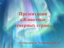 Презентация Животные северных стран
