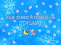 Как помочь птицам зимой