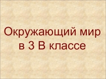 Презентация по окр. миру Власть народа  (3 класс)