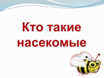 Презентация по окружающему миру на тему Кто такие насекомые