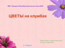 Презентация по окружающему миру Цветы, которые растут на клумбе 1 класс