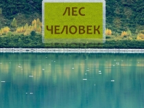 Окружающий мир Тема: Лес и Человек