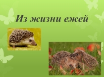 Презентация по окружающему миру на тему Дикие животные. Еж (3 класс)