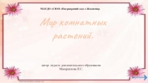 Презентация по программе Волшебный мир цветов ( 7 класс)