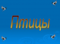 Презентация по окружающему миру на тему:Птицы(3 класс)