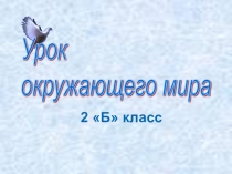 Презентация по окружающему миру на тему: Зима в неживой природе