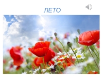 Презентация по логоритмике на тему : Лето.Обитатели водоемов