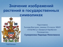 Значение изображений растений в государственных символиках