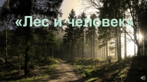 Презентация по окружающему миру.Лес и человек