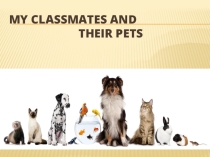 Презентация по английскому языку на тему My classmates and their pets.(3 класс)