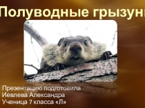 Презентация по биологии тему: Полуводные грызуны (бобры, нутрии, ондатры)