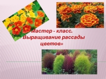 Презентация по биологии по теме мастер -класс Выращевание рассады(6 класс)