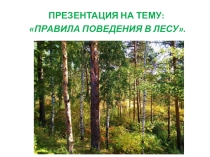 Презентация Правила поведения в лесу