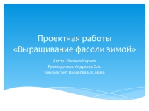 Презентация проектная деятельность Выращивание фасоли зимой 2 класс