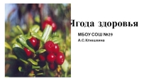Презентация к уроку окружающего мира Брусника-ягода здоровья