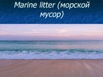 Презентация по английскому языку Морской мусор (10 класс)