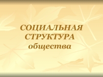 Презентация Социальная структура общества