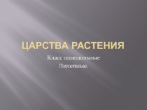 Презентация по биологии на тему Семейство цветковых растений