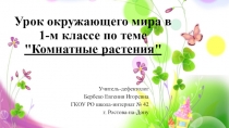 Презентация на урок окружающего вида по теме: Растения для детей с интеллектуальными нарушениями, 1 класс.