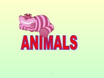 Презентация  Animals 4 класс