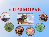 Презентация тематического классного часа Приморье