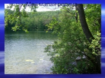 Презентация к уроку русского языка Употребление глаголов в речи