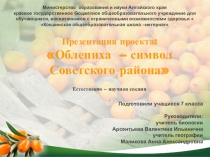 Презентация проекта Облепиха - символ Советского района
