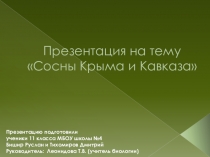 Презентация по биологии на тему  Сосны Крыма и Кавказа
