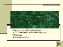 Моя семья