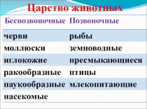Презентация для урока окружающий мир по теме Кто что ест?3 класс