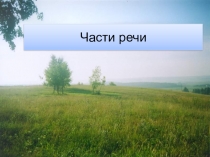 Презентация по русскому языку Имя существительное