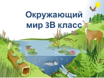 Урок окружающего мира в 3 классе по теме Водоём- природное сообщество