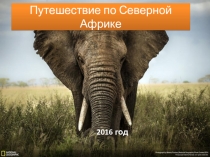 Презентация для темы Африка: путешествие 7 класс по учебнику География Алексеева А. И., Николиной В. В., Липкиной Е. К. линии Полярная звезда