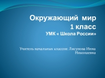 Презентация по окружающему миру на тему  Почему нужно чистить зубы и мыть руки