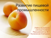 Презентация по химии на тему  Развитие пищевой промышленности