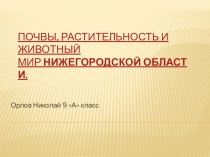 Презентация по географии на тему: Нижегородская область