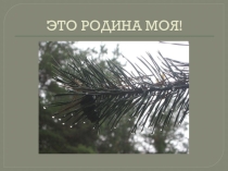 Презентация Это Родина моя