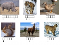 Презентация к уроку обучения грамоте по теме Звук (ж), буква Ж ж.