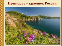 Внеклассное мероприятие Приморье - краешек России
