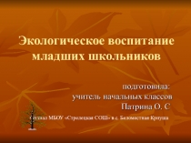 Презентация к докладу на тему: Экологическое воспитание младших школьников во внеурочной деятельности