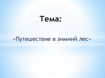 Тема: Путешествие в зимний лес