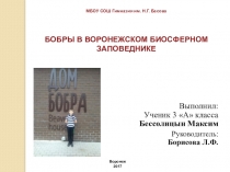 Презентация исследовательской работы БОБРЫ В ВОРОНЕЖСКОМ БИОСФЕРНОМ ЗАПОВЕДНИКЕ